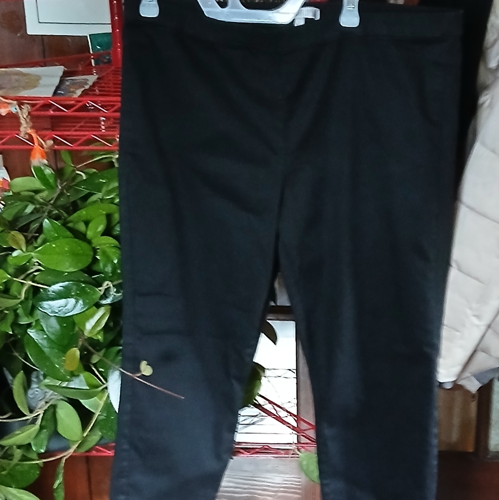 Women's Jennifer Lopez black slacks s.16